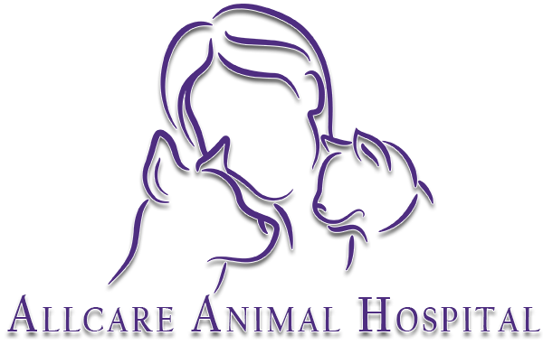 Allcare Animal Hospital